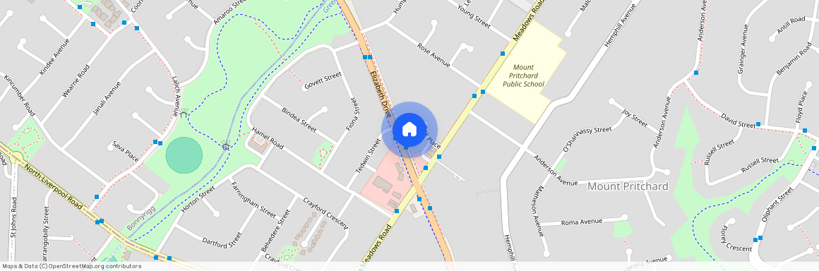 371 Elizabeth Drive, NSW 2170, Mount Pritchard