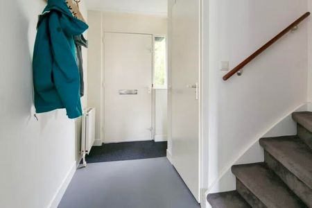 Adri Piecklaan - Foto 3