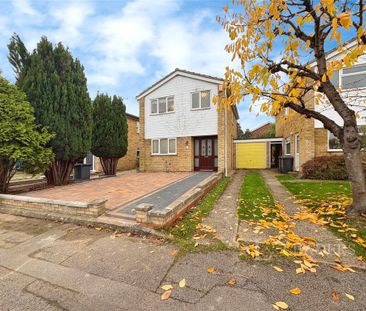 3 bedroom house to rent - Photo 3