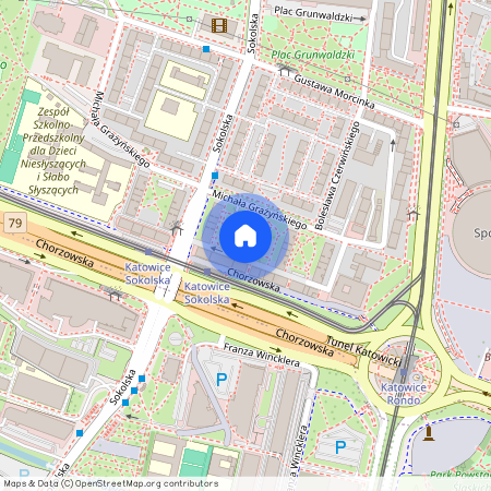 ul. Michała Grażyńskiego, Koszutka, Katowice, śląskie