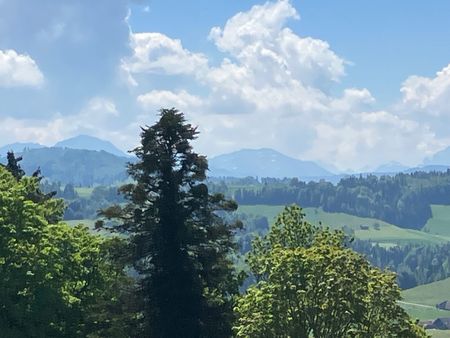 ALTBAU-LANDWOHNUNG, HOCHPARTERRE MIT FANTASTISCHER AUSSICHT! - Photo 2