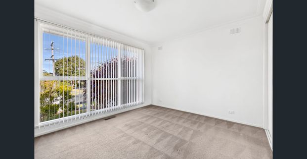 Sitting Proud in the Heart of Highton - Photo 1