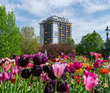Ruhige Wohnung mit Balkon und Blick in den grünen Kurpark! - Foto 4