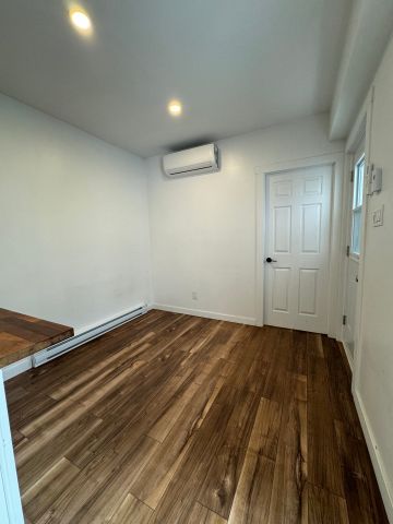 2020 Rue Atateken, Montréal (Ville-Marie), H2L3L8 - Photo 4