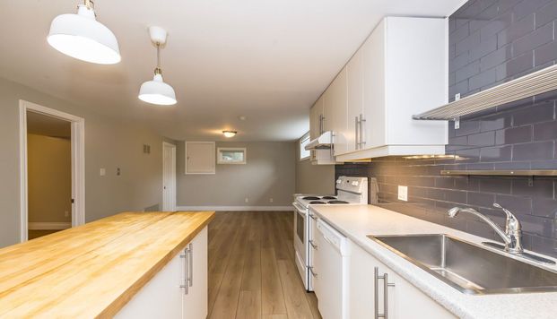 For Lease - 371 Meadowbrook Drive Unit# BASEMENT, Milton, Ontario - Photo 1