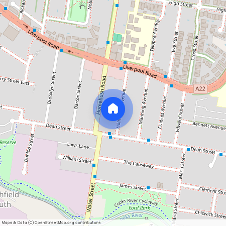 21 Holmwood Avenue, NSW 2136, Strathfield South