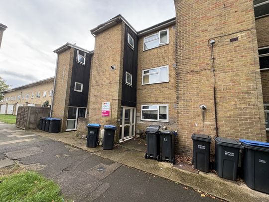 Ladyshot, Harlow - Photo 1