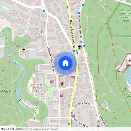 1018, Lausanne, Route Aloys-Fauquez, 107