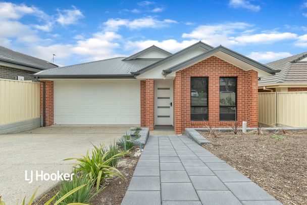 45 Reece Avenue, KLEMZIG - Photo 1