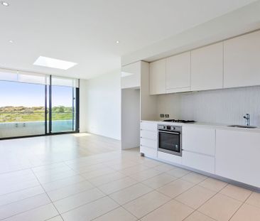 403/30 Harvey Street, Little Bay - Photo 1