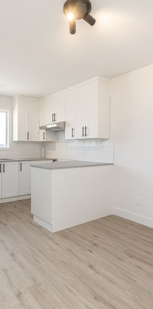 3 1/2 à Louer à Mascouche - Photo 1