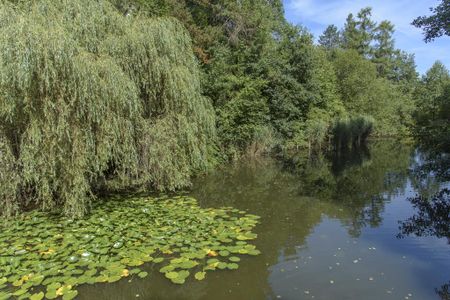 Demnächst frei! 3-Zimmer-Wohnung in Siegen Wenscht - Photo 5
