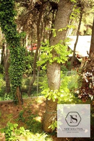 Μεζονέτα για ενοικίαση Κέντρο (Άγιος Στέφανος) - Photo 5