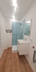 Location Appartement 1 pièce 20m² - Photo 3