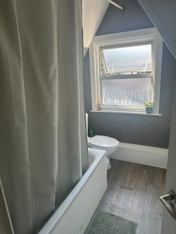 Studio Flat, Leigham Court Road, SW16 - Photo 4