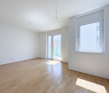 MIete: 2-Zimmer Wohnung im 6. Liftgeschoss mit zwei Balkonen: Kompl... - Photo 4