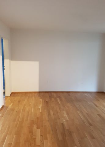 4.5-Zimmer-Wohnung zu vermieten in Uster - Photo 2