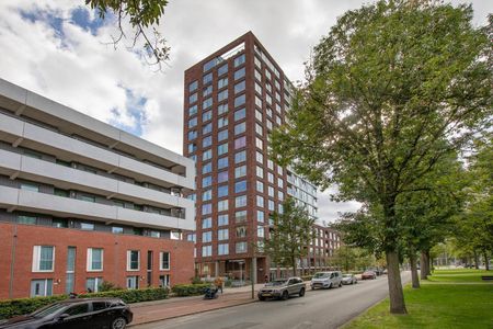 Meppelweg 800-B, Morgenstond-West, 2544BV, Den Haag - Photo 3