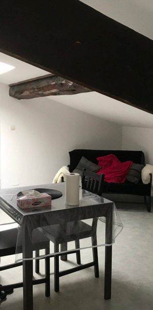 Location appartement 1 pièce 25.46 m² à Vienne (38200) - Photo 1