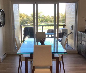 5 1/2 a louer-pointe-des-cascades-appartement - Photo 4