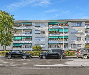 Wohnung im Herzen von Dübendorf - Foto 3
