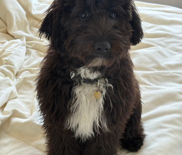 North Lambton - Photo 6