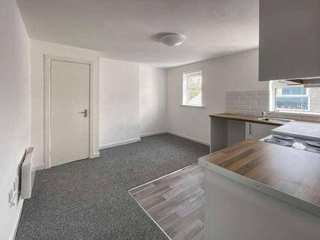 Ely Road, Llandaff, Cardiff, CF5 - Photo 3