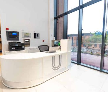 Bronze Studio - Photo 5