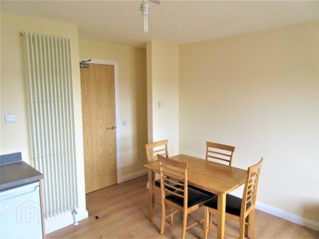 Great Apartment, 101a Rugby Avenue, Queens Quarter, Belfast, BT7 1RE - Photo 2