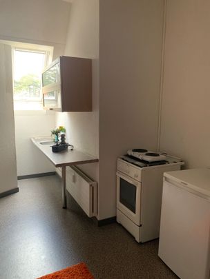 Rooftop apartment for rent right next to the Beyeler Museum - Photo 1