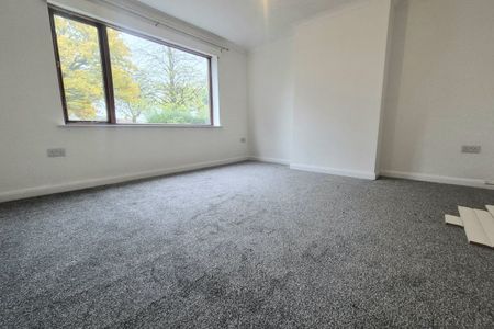 Cousin Lane - Photo 3