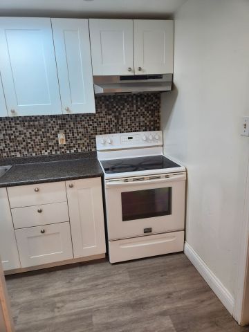 For Lease - 12 Hartsville Avenue Unit# Basement, Toronto, Ontario - Photo 4