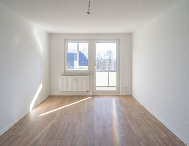 Neue, moderne 3 Raumwohnung am Stadtpark mit Dusche+++ - Foto 1