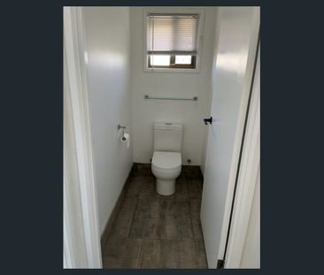 SECRET OASIS! - Photo 6