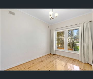 16 White Street, Henley Beach, SA 5022 - Photo 6