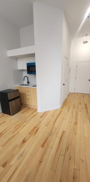 1 CH - 1 SDB - Montréal - $995 /mo - Photo 1