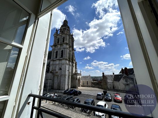 Appartement coup de coeur cathédrale - Photo 1