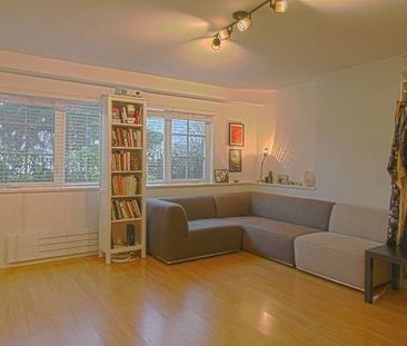 Beachfront Studio Steps from Kits Beach- Unfurnished - Jan 1st - Photo 4