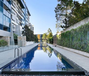 308/5 Sterling Circuit, Camperdown NSW 2050 - Apartment For Rent | ... - Photo 4