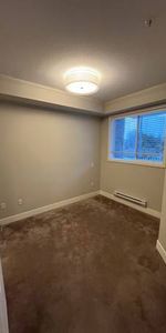 1 Bed 1 Bathroom apartment- March 1st! - Photo 4