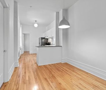 Appartement à louer - Montréal (Le Plateau-Mont-Royal) (Mile-End) - Photo 4