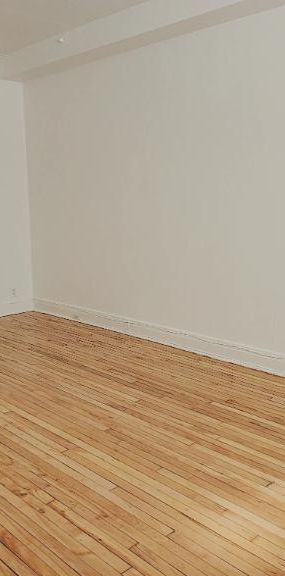 1 CH - 1 SDB - Montréal - $1,350 /mo - Photo 1