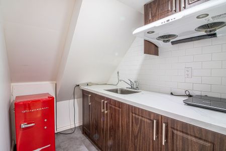 For Lease - 143 Nahanni Drive Unit# Basement Apartment, Richmond Hill, Ontario - Photo 2