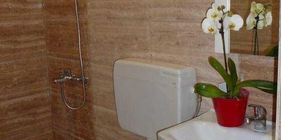 Apartament 2 camere de inchiriat zona Crisul shopping center, Oradea - Fotografie 3