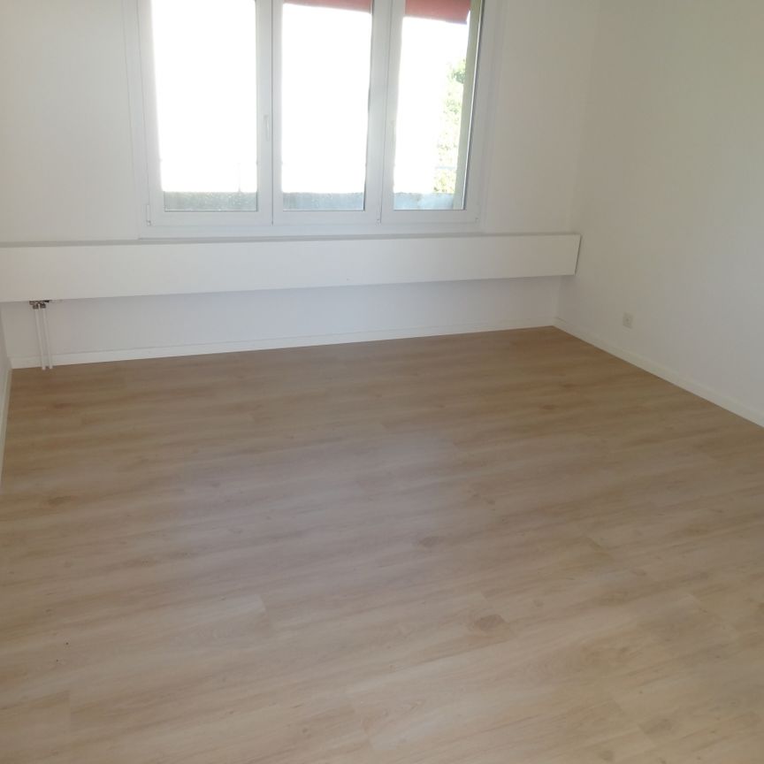 Neu sanierte 2 Zimmerwohnung - Photo 1