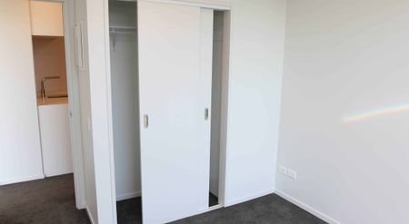 Walk to the hospital or CBD - Photo 4