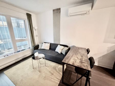 Appartement à louer, Montréal (Le Plateau-Mont-Royal) - Photo 3