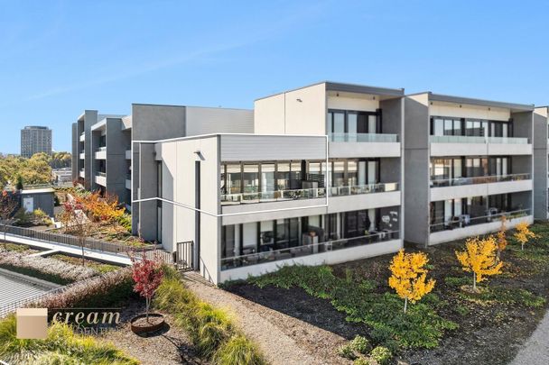 318/34 Eyre Street, Kingston ACT 2604 - Apartment For Rent | Domain - Photo 1