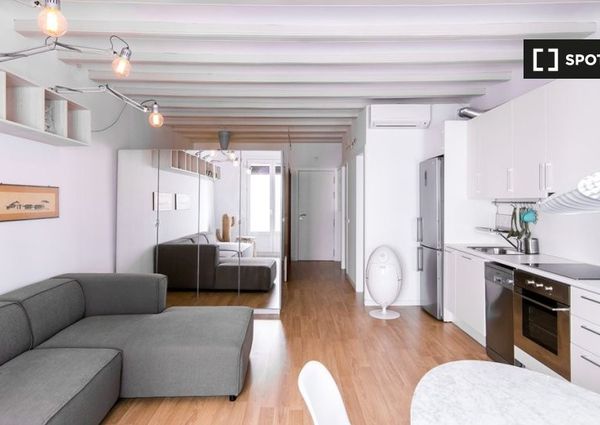 Carrer de la Junta de Comerç, Barcelona, Catalonia 08001