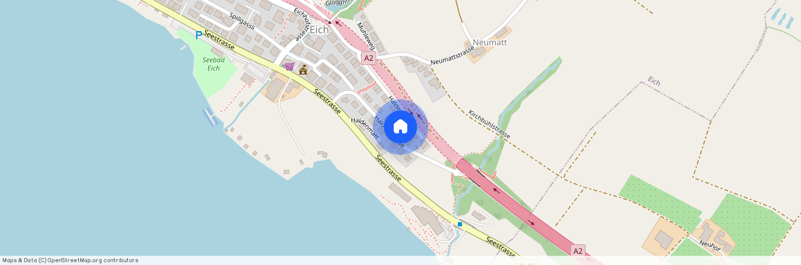 Haldenstrasse 19, 6205 Eich